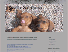 Tablet Screenshot of countrydoxies.com